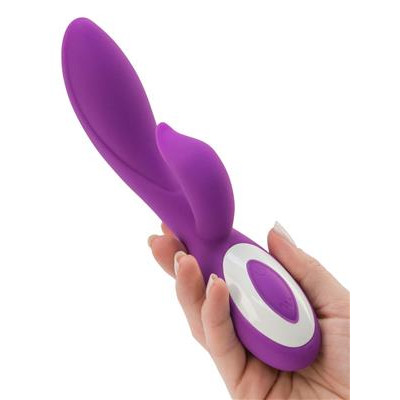 Swan Wonderlust Harmony - Purple