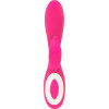 Swan Wonderlust Harmony – Pink