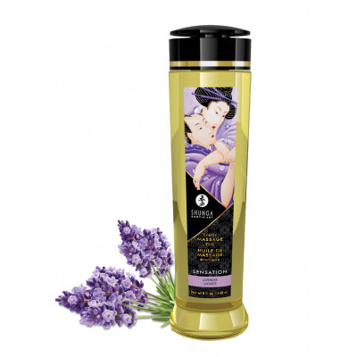 Shunga | Massage Oil | 240ml : Sensation