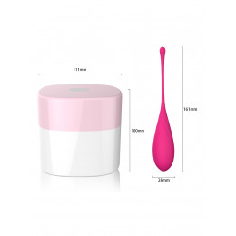 FeelzToys FemmeFit Kegel Set 6 pcs