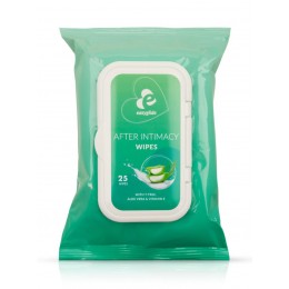 EasyToys | Easyglide Intimacy Wipes - 25 pack